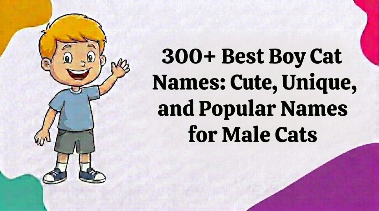 boy cat names