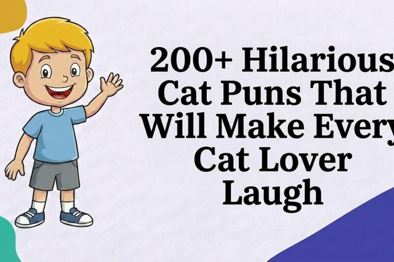 200+ Hilarious Cat Puns That Will Make Every Cat Lover Laugh